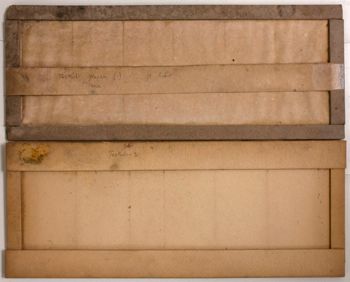 Media type: image;   Herpetology R-195538